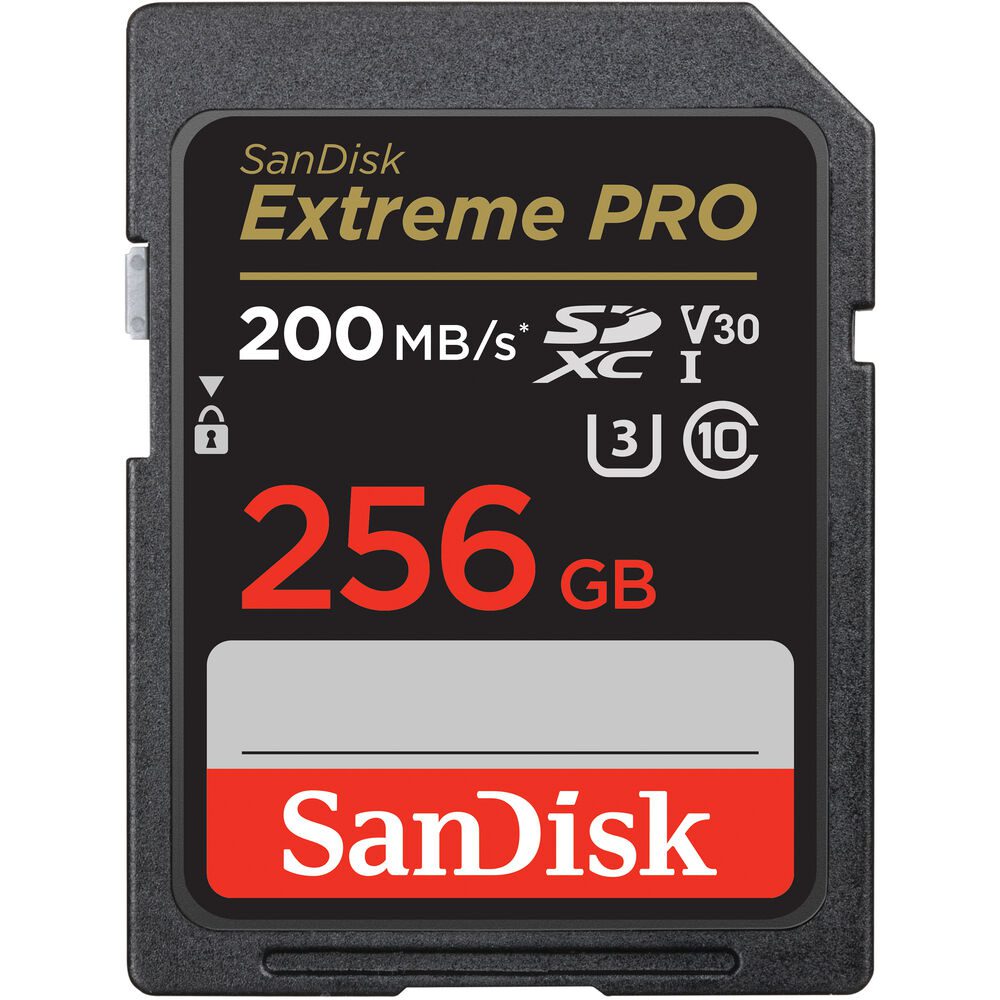 SANDISK 256GB