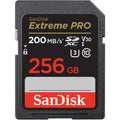SANDISK 256GB