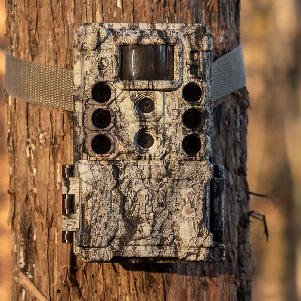 Bushnell Core 32MP DS-4K No-Glow Trail Camera