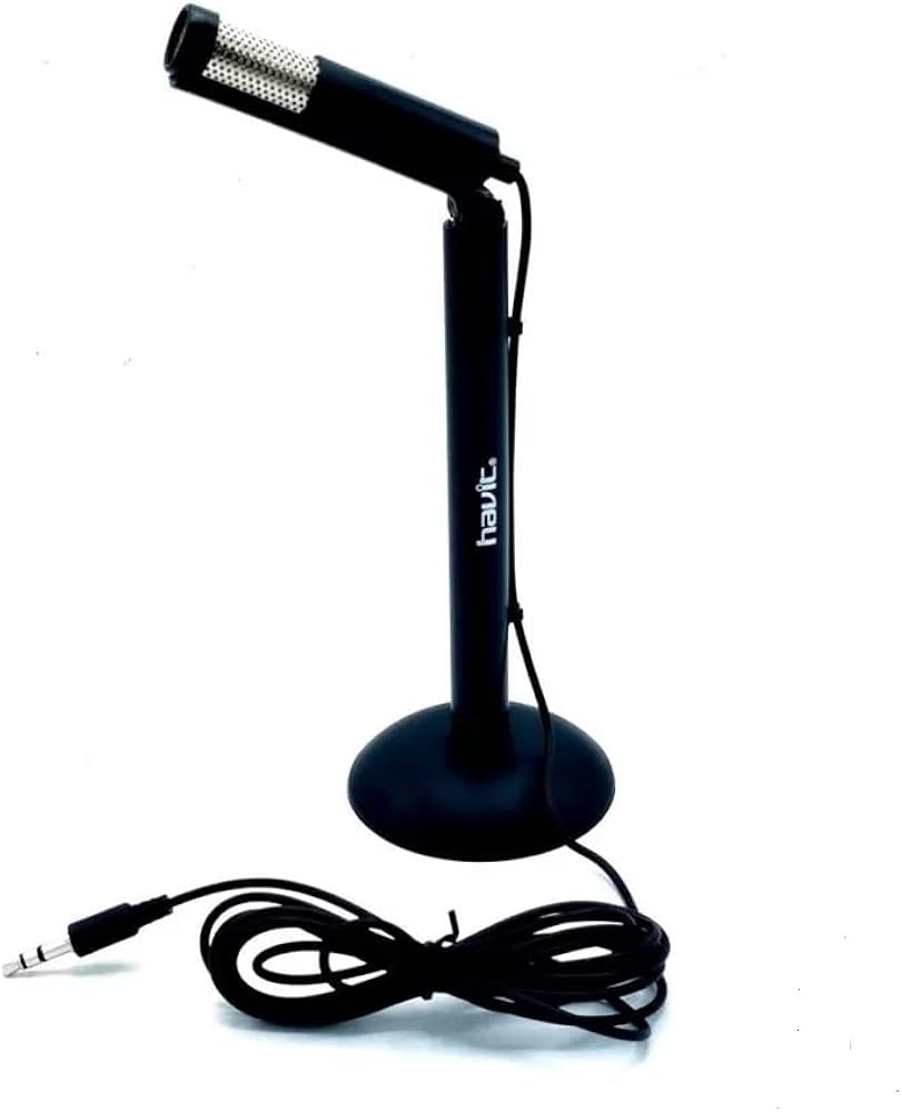 Havit HV-M80 Straight Microphone