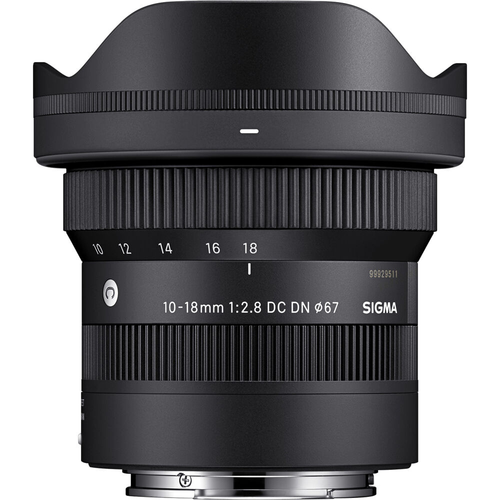 sigma 10-18mm sony