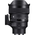 sigma 14mm sony