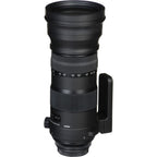Sigma 150-600mm f5-6.3 DG DN OS Sports for Sony E | Mirrorless Camera Lens
