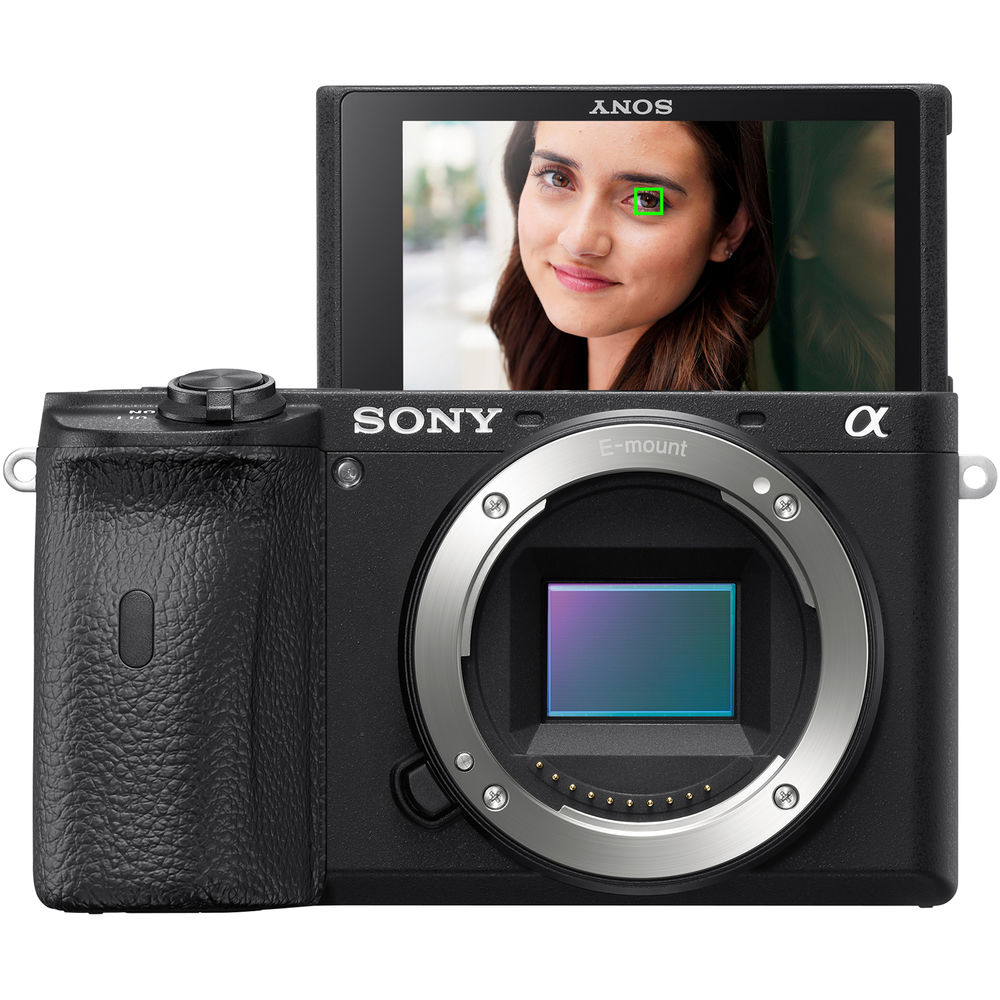 sony a6600 body