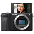 sony a6600 body